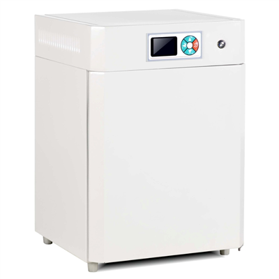 电热恒温培养箱 DHP-9272(270L)